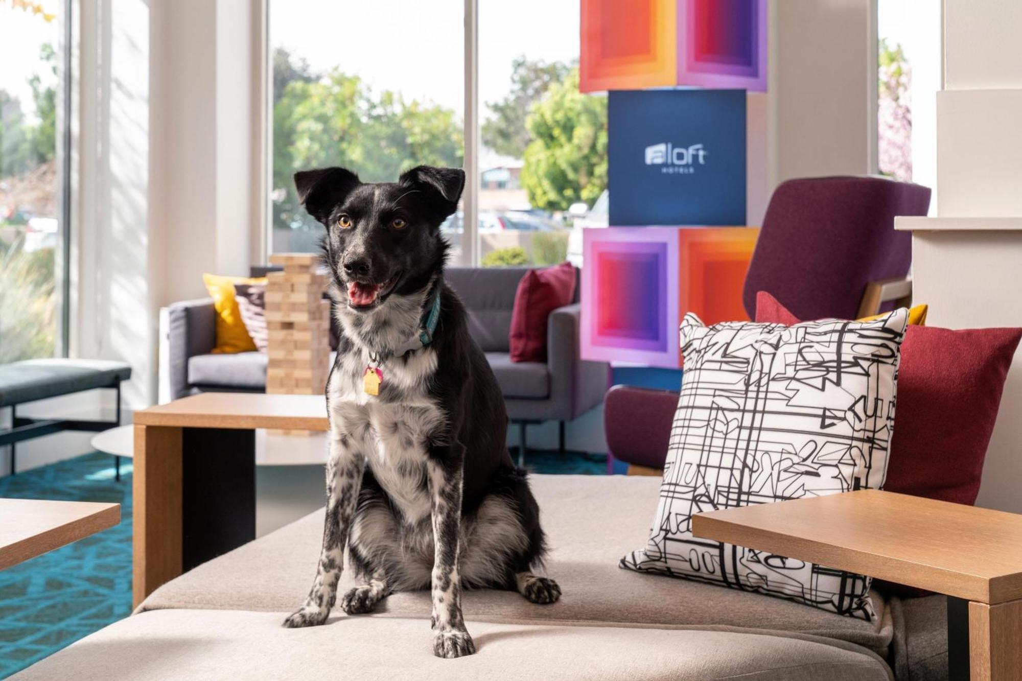 Aloft Mountain View Hotel Eksteriør billede